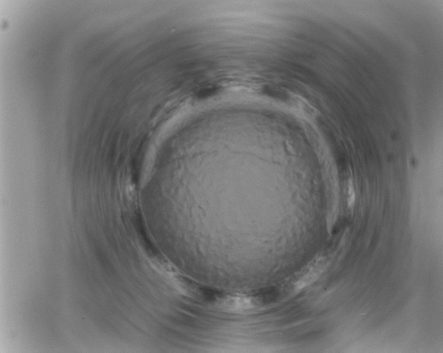 X0000066500276200603241249