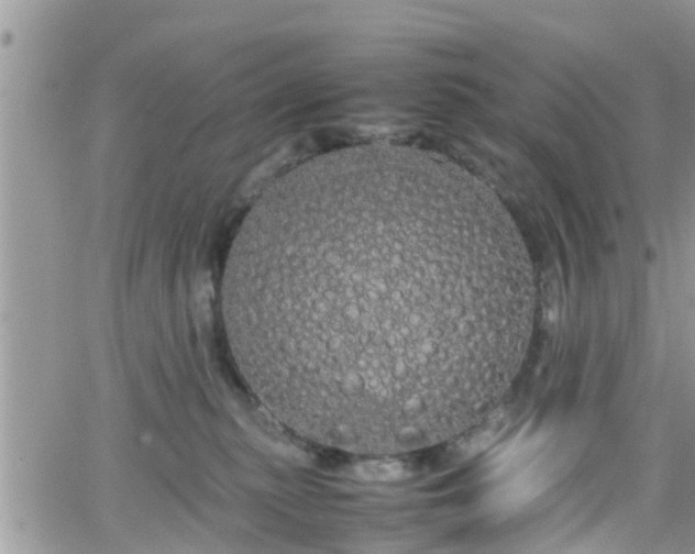 X0000066500279200603241249