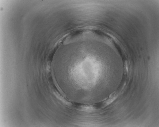 X0000066500284200603241249