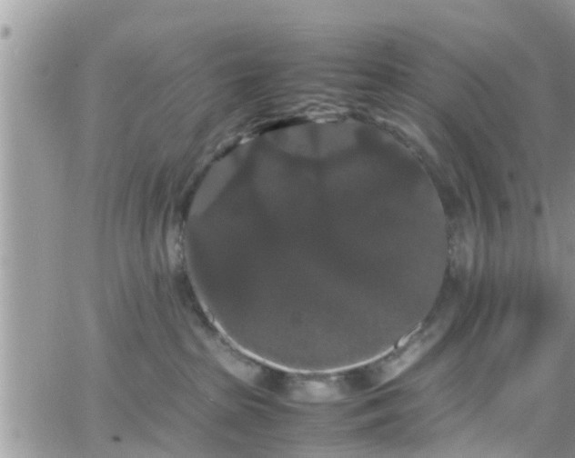 X0000066500285200603241249