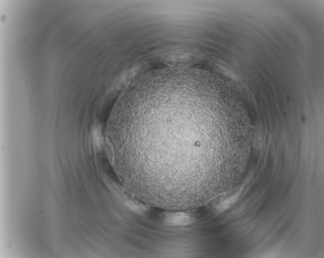 X0000066500287200603241249