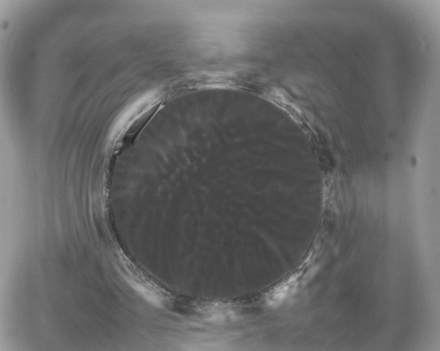 X0000066500293200603241248