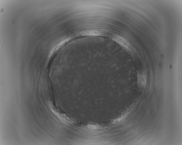 X0000066500302200603241248