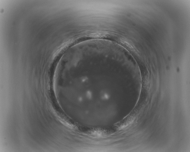 X0000066500303200603241248