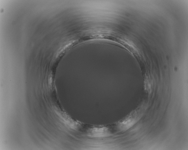 X0000066500314200603241248