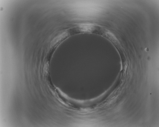 X0000066500325200603241248
