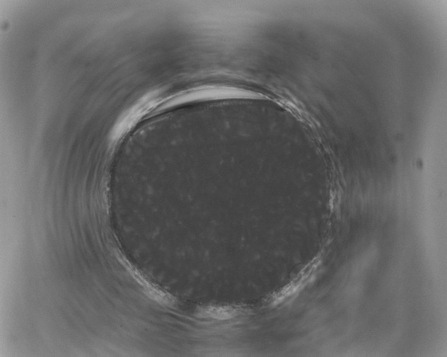 X0000066500341200603241247