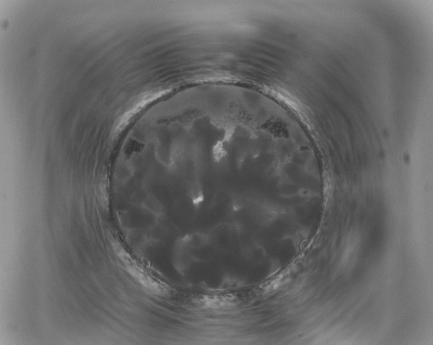 X0000066500345200603241247
