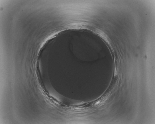 X0000066500387200603241247