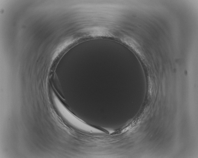 X0000066500391200603241247