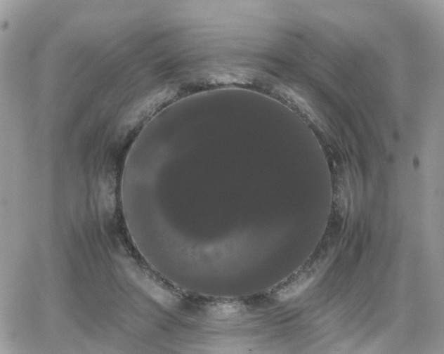X0000066500402200603241247