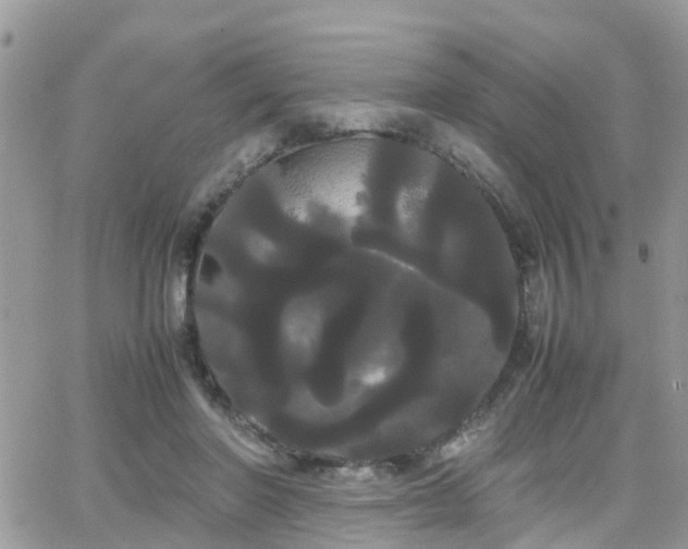 X0000066500406200603241247