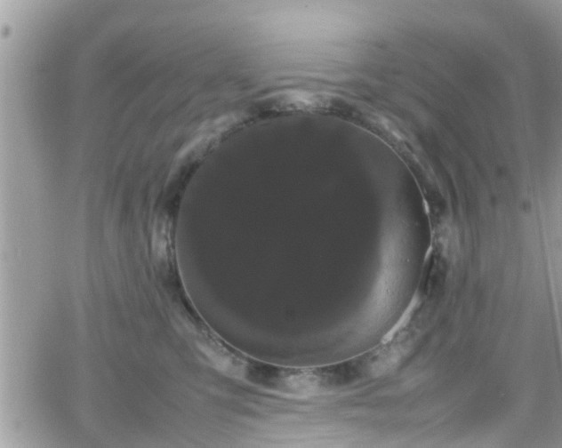 X0000066500423200603241246