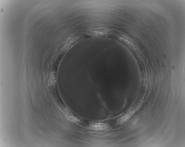 X0000066500467200603241246