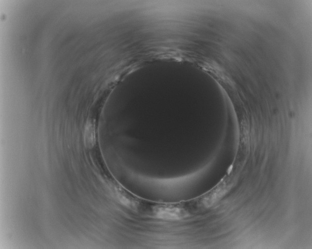 X0000066500471200603241246