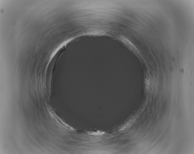X0000066500484200603241245