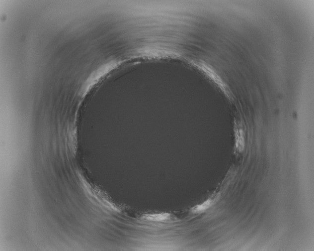 X0000066500488200603241245