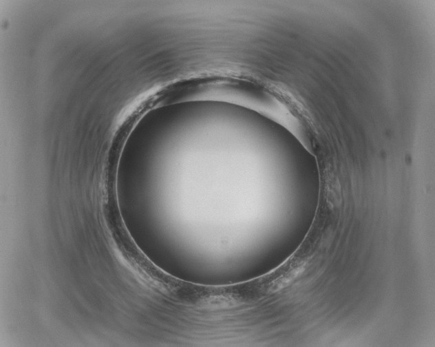 X0000066500536200603241244