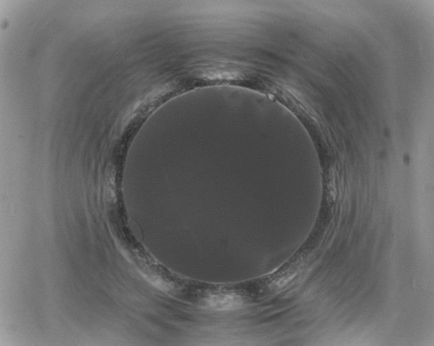 X0000066500547200603241244
