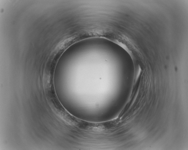 X0000066500548200603241244