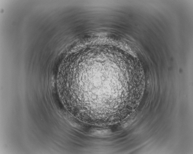 X0000066500555200603241244