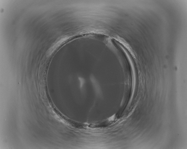X0000066500577200603241244