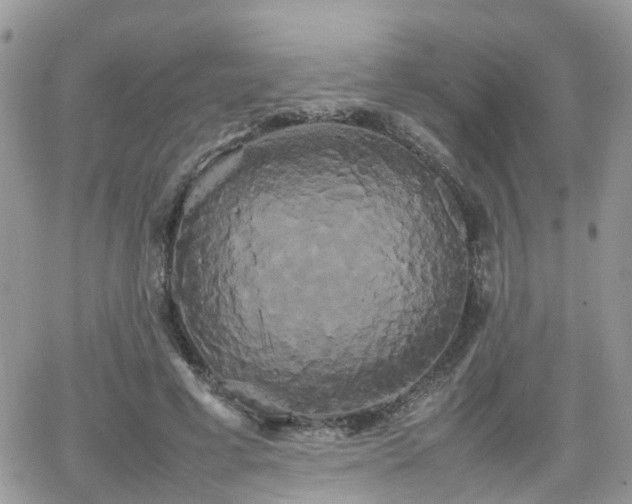 X0000066500593200603241243
