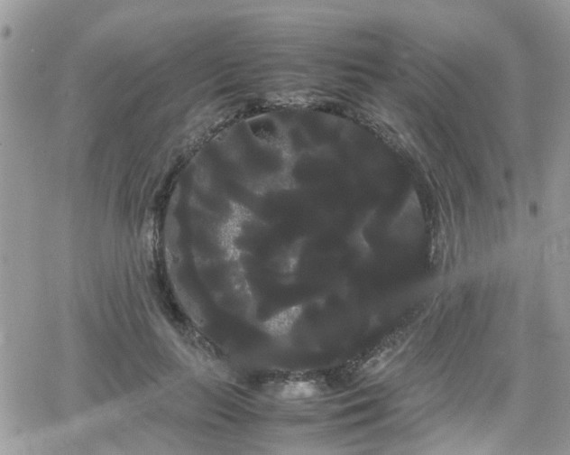 X0000066500647200603241243