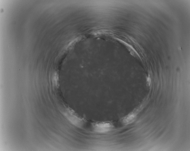 X0000066500669200603241243