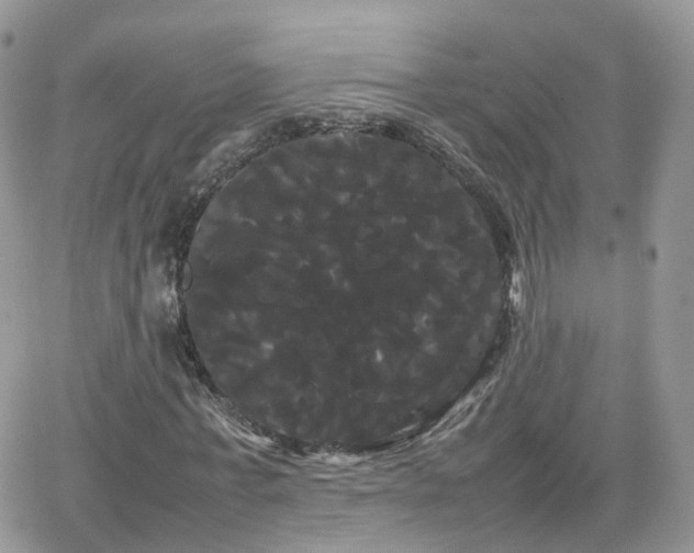 X0000066500771200603241241