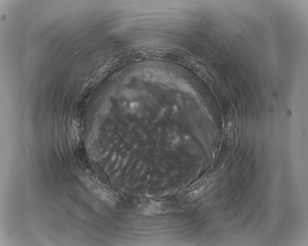 X0000066500772200603241241