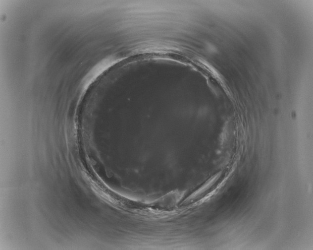 X0000066500779200603241240