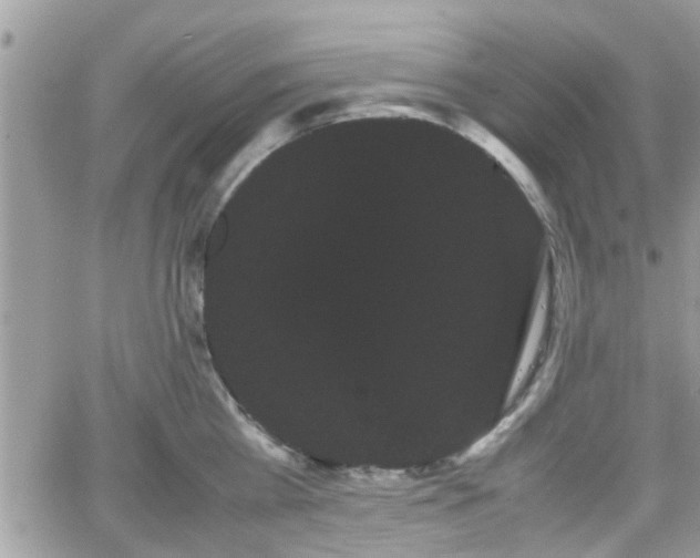 X0000066500809200603241240