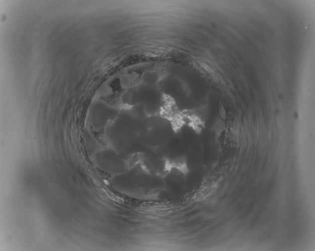 X0000066500817200603241239