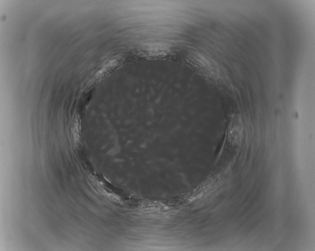 X0000066500866200603241239