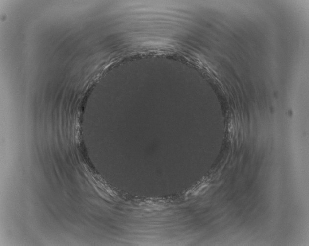 X0000066500868200603241239