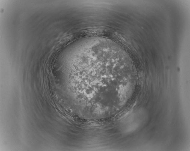 X0000066500913200603241237