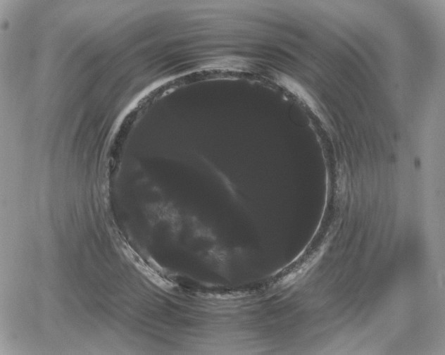 X0000066500923200603241238