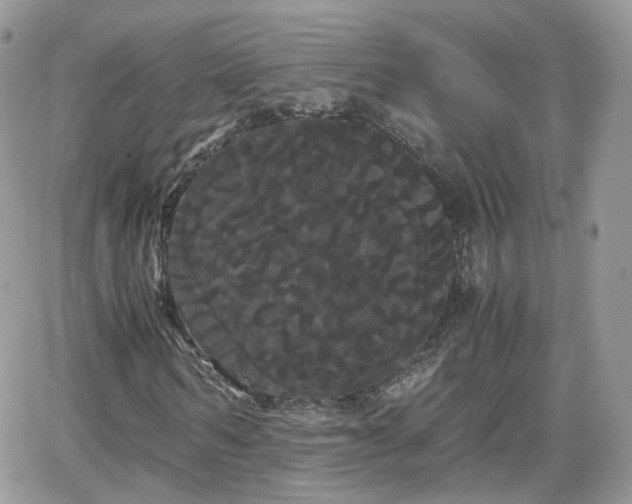 X0000066500962200603241237