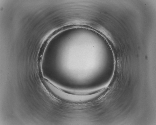 X0000066500972200603241237