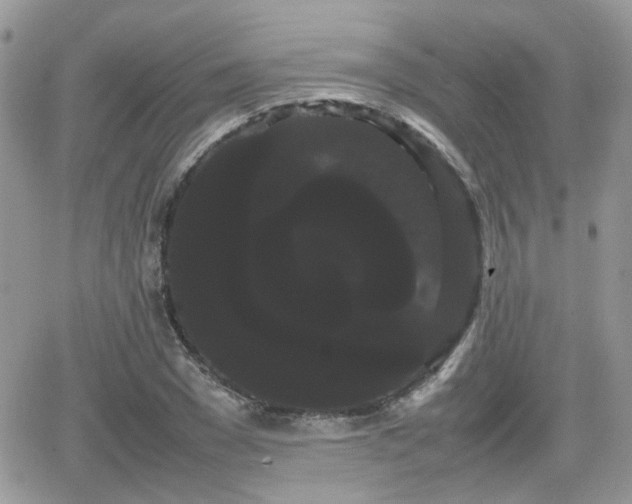 X0000066500977200603241237
