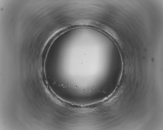 X0000066500984200603241237