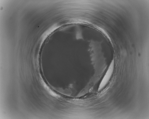 X0000066500995200603241237