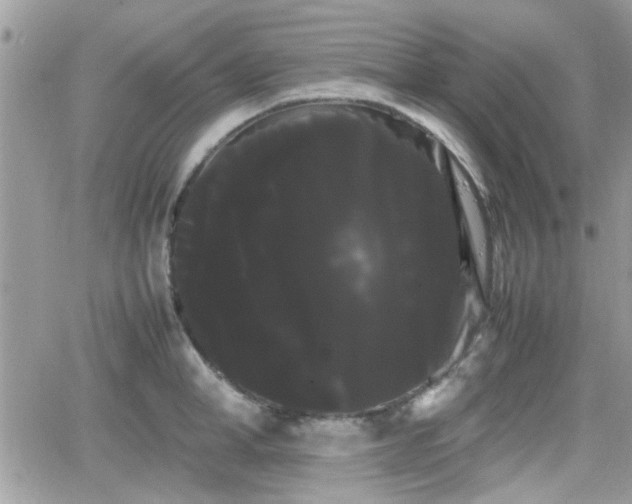 X0000066500998200603241237