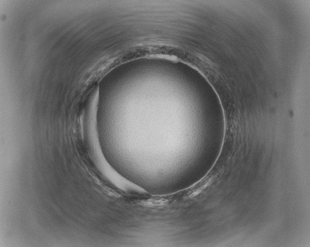 X0000066501014200603241236