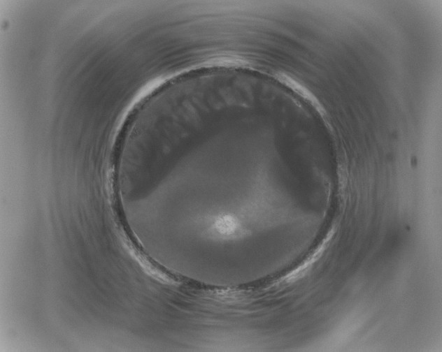 X0000066501029200603241236