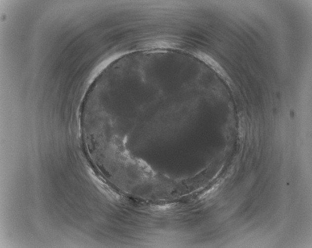 X0000066501031200603241236