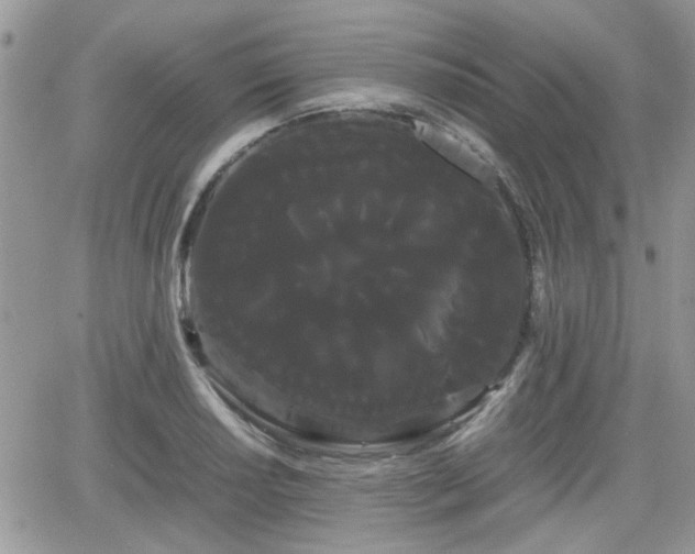 X0000066501034200603241236