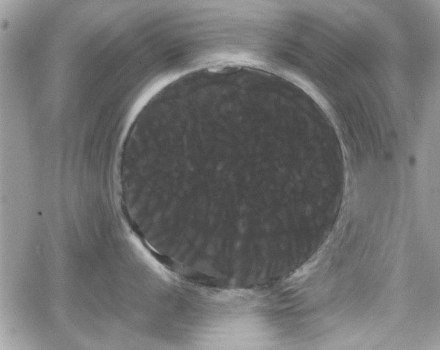 X0000066501056200603241237