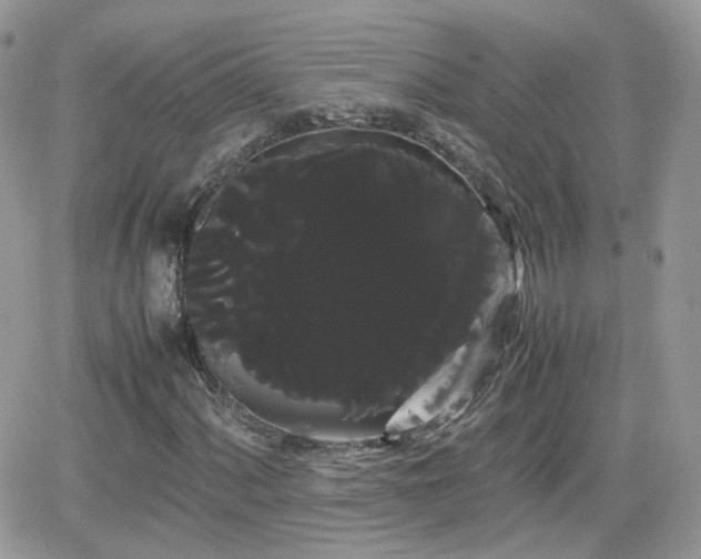 X0000066501060200603241236